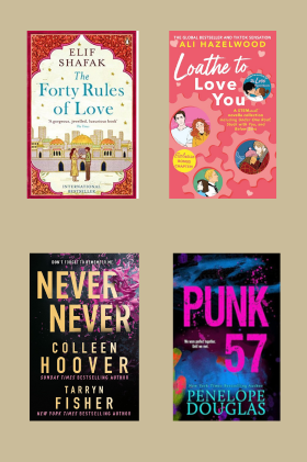 Punk 57 + LOATHE TO LOVE YOU+ The Forty Rules of love + Never Never  4 books combo romance 