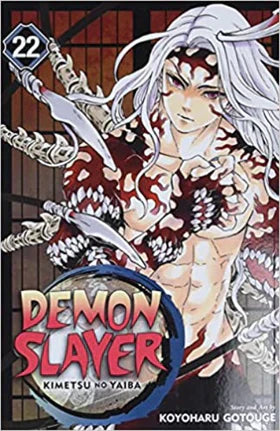 Demon Slayer: Kimetsu no Yaiba, Vol. 22